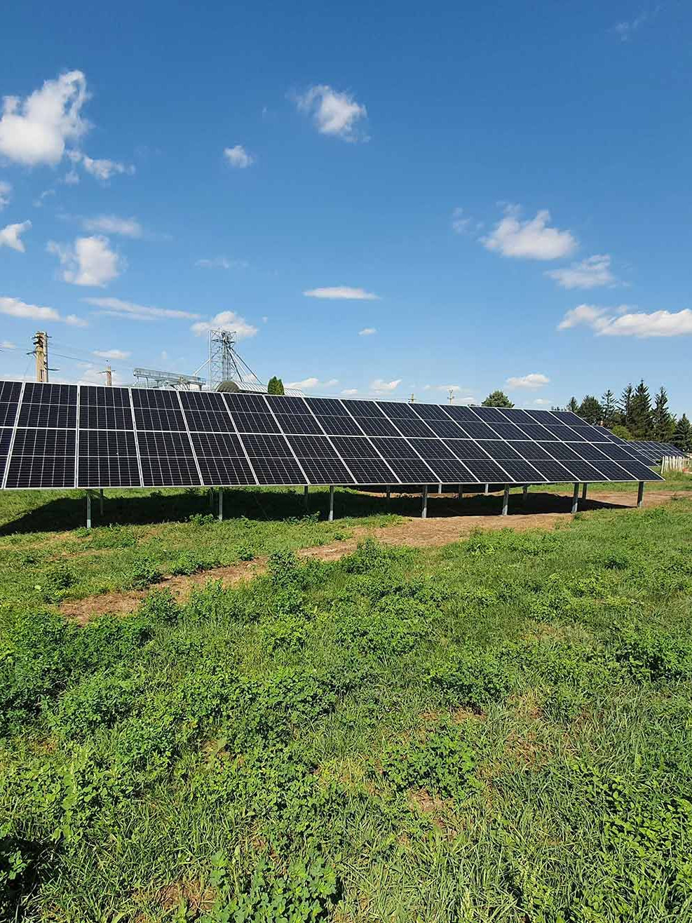 Volta X energie verde panouri fotovoltaice trina solar parc ferma agricola aic bac